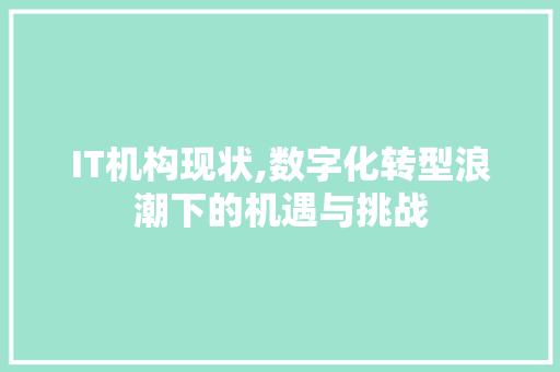 IT机构现状,数字化转型浪潮下的机遇与挑战 PHP