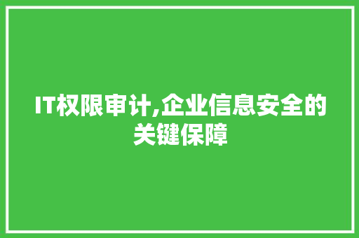 IT权限审计,企业信息安全的关键保障