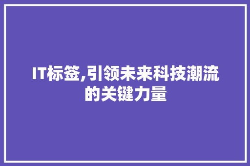 IT标签,引领未来科技潮流的关键力量