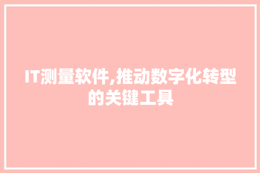 IT测量软件,推动数字化转型的关键工具