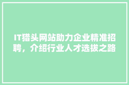 IT猎头网站助力企业精准招聘，介绍行业人才选拔之路