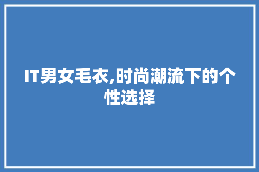 IT男女毛衣,时尚潮流下的个性选择