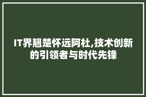 IT界翘楚怀远阿杜,技术创新的引领者与时代先锋