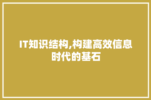 IT知识结构,构建高效信息时代的基石