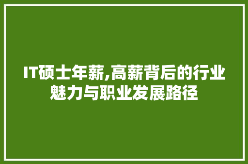 IT硕士年薪,高薪背后的行业魅力与职业发展路径