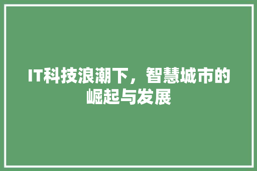 IT科技浪潮下，智慧城市的崛起与发展