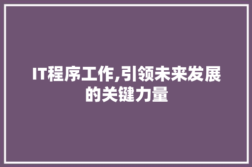 IT程序工作,引领未来发展的关键力量