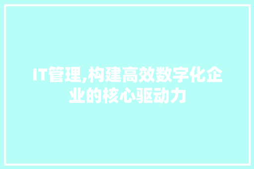 IT管理,构建高效数字化企业的核心驱动力