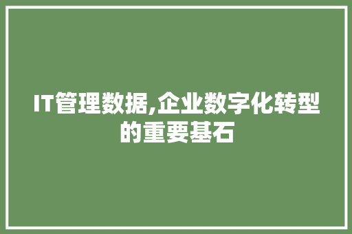 IT管理数据,企业数字化转型的重要基石