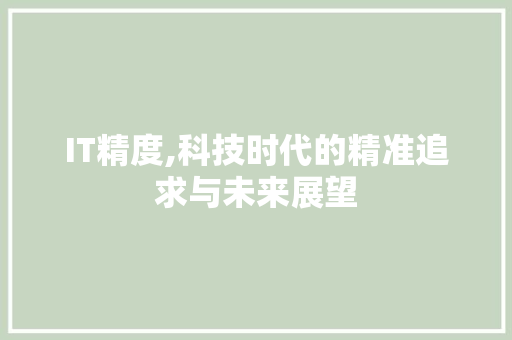 IT精度,科技时代的精准追求与未来展望 SQL