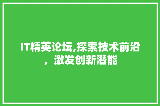 IT精英论坛,探索技术前沿，激发创新潜能 CSS