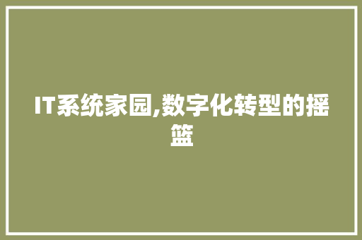 IT系统家园,数字化转型的摇篮