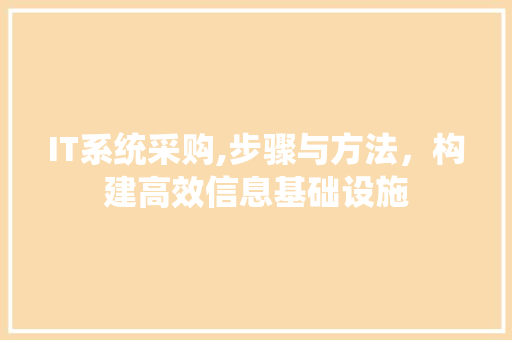 IT系统采购,步骤与方法，构建高效信息基础设施