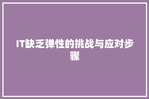 IT缺乏弹性的挑战与应对步骤