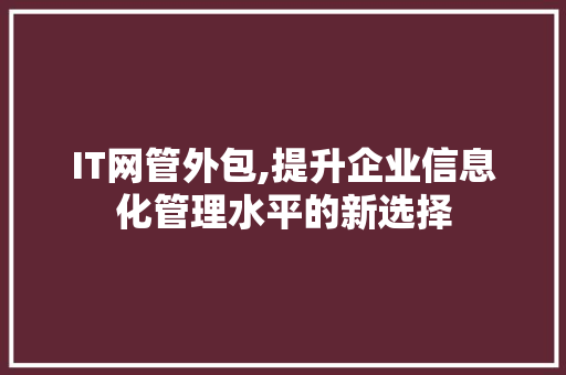 IT网管外包,提升企业信息化管理水平的新选择