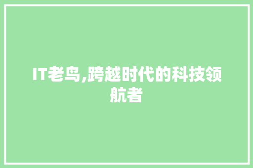 IT老鸟,跨越时代的科技领航者