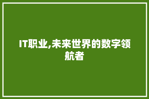 IT职业,未来世界的数字领航者