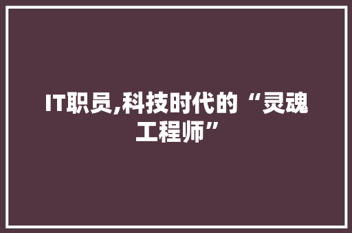 IT职员,科技时代的“灵魂工程师”