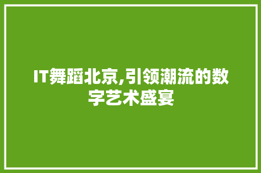 IT舞蹈北京,引领潮流的数字艺术盛宴