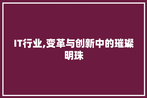 IT行业,变革与创新中的璀璨明珠 Java