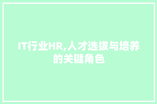 IT行业HR,人才选拔与培养的关键角色