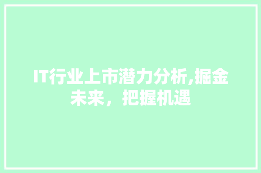 IT行业上市潜力分析,掘金未来，把握机遇