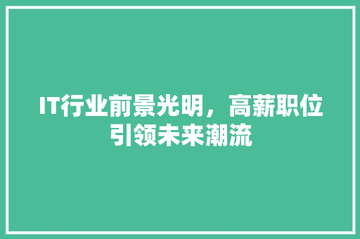 IT行业前景光明，高薪职位引领未来潮流