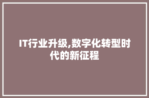 IT行业升级,数字化转型时代的新征程