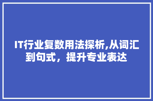 IT行业复数用法探析,从词汇到句式，提升专业表达