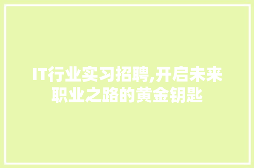 IT行业实习招聘,开启未来职业之路的黄金钥匙