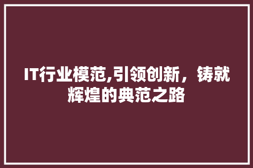 IT行业模范,引领创新，铸就辉煌的典范之路