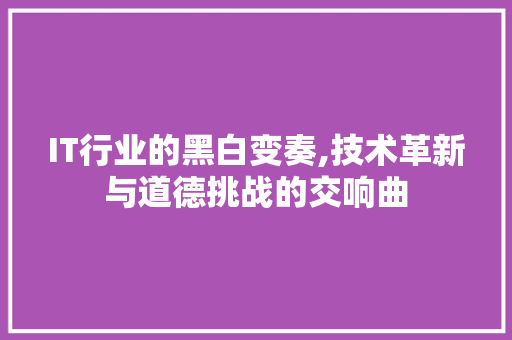 IT行业的黑白变奏,技术革新与道德挑战的交响曲