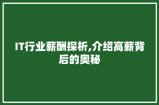 IT行业薪酬探析,介绍高薪背后的奥秘 Ruby