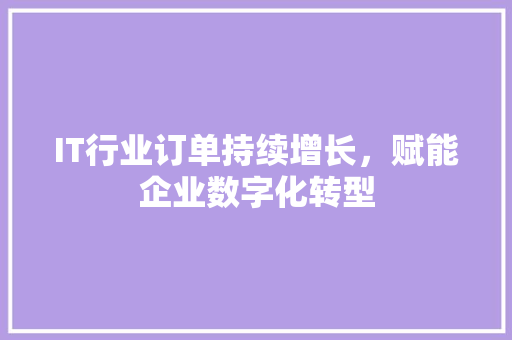 IT行业订单持续增长，赋能企业数字化转型 Python