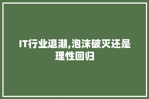 IT行业退潮,泡沫破灭还是理性回归