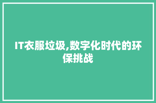 IT衣服垃圾,数字化时代的环保挑战