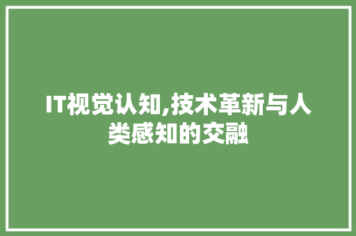 IT视觉认知,技术革新与人类感知的交融