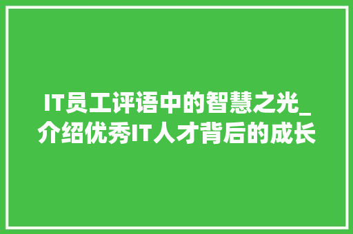 IT员工评语中的智慧之光_介绍优秀IT人才背后的成长轨迹