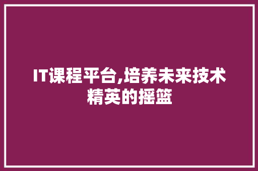 IT课程平台,培养未来技术精英的摇篮