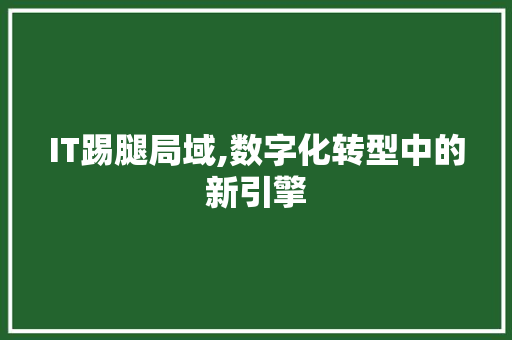 IT踢腿局域,数字化转型中的新引擎