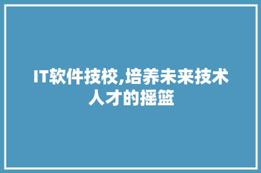 IT软件技校,培养未来技术人才的摇篮