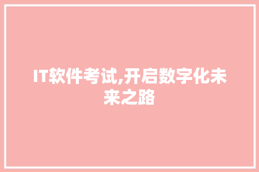 IT软件考试,开启数字化未来之路