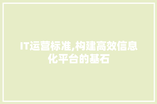 IT运营标准,构建高效信息化平台的基石