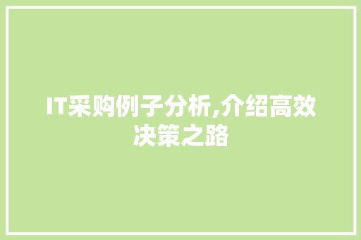 IT采购例子分析,介绍高效决策之路