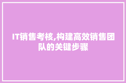 IT销售考核,构建高效销售团队的关键步骤