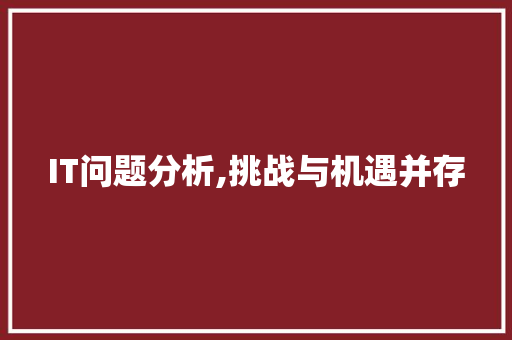 IT问题分析,挑战与机遇并存