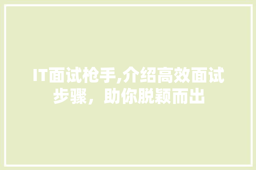 IT面试枪手,介绍高效面试步骤，助你脱颖而出