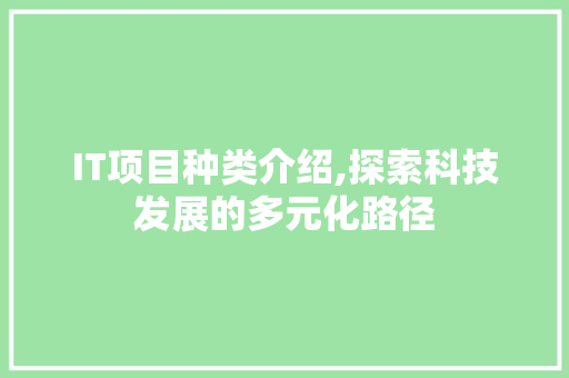 IT项目种类介绍,探索科技发展的多元化路径