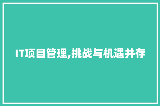 IT项目管理,挑战与机遇并存