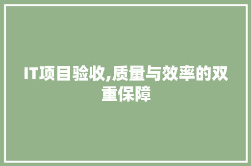 IT项目验收,质量与效率的双重保障